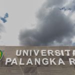 WhatsApp Image 2025-01-17 at 23.07.24